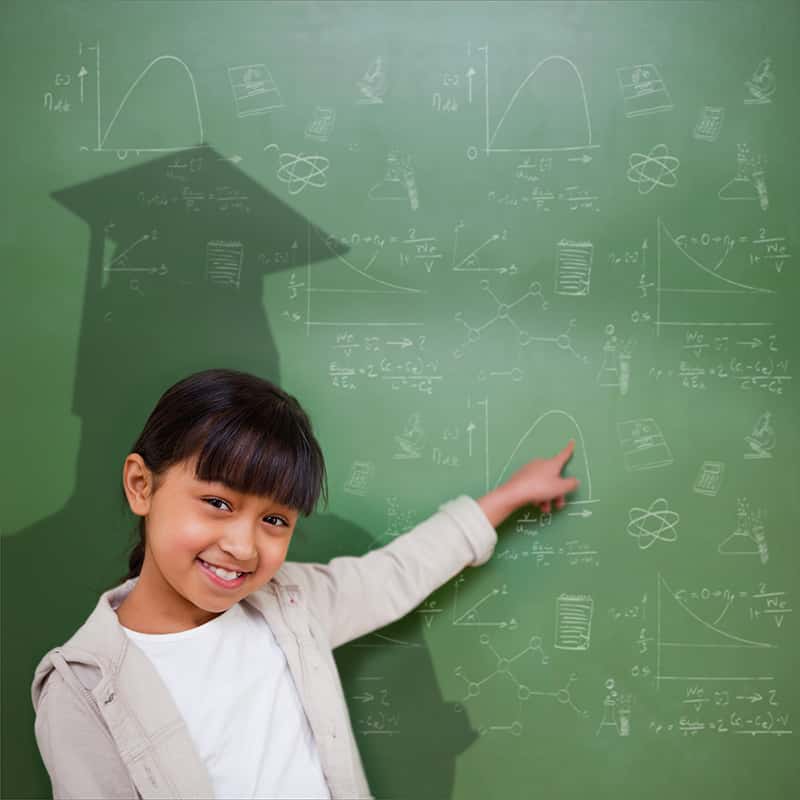 Brain Development Puzzles 