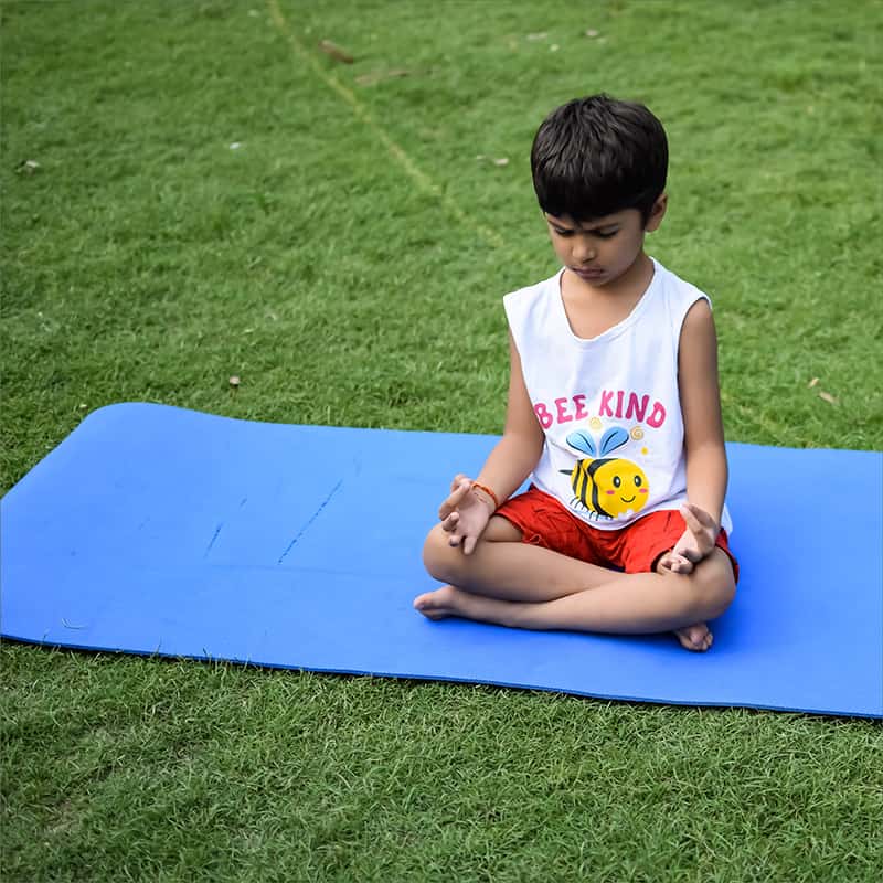 Brain Power Booster Program 